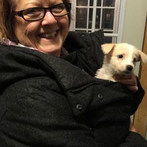 Meet your Posher, Lisa